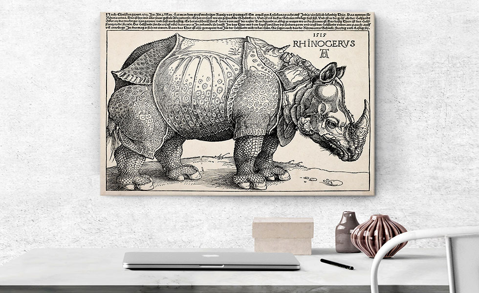 The Rhinoceros 1515