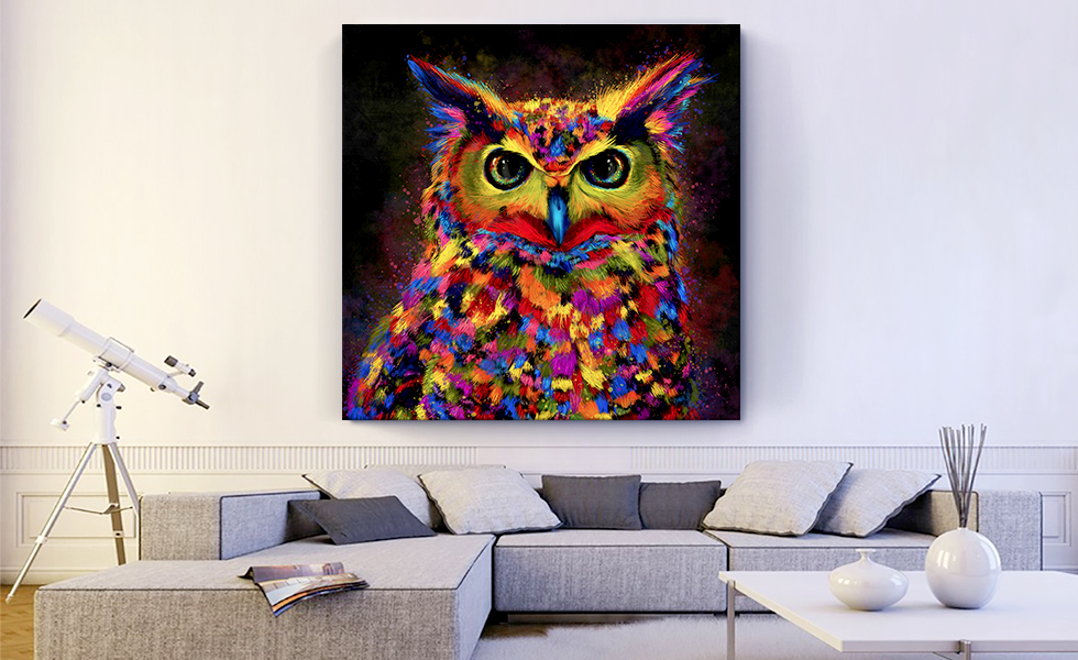 Owl Nocturnal Bird of Prey Barn