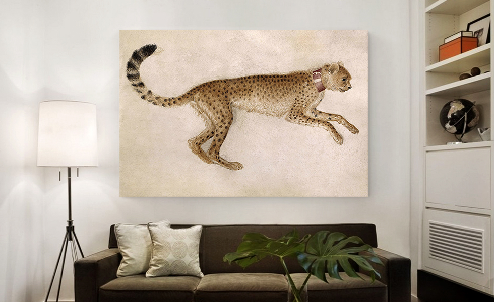 Cheetah 1430